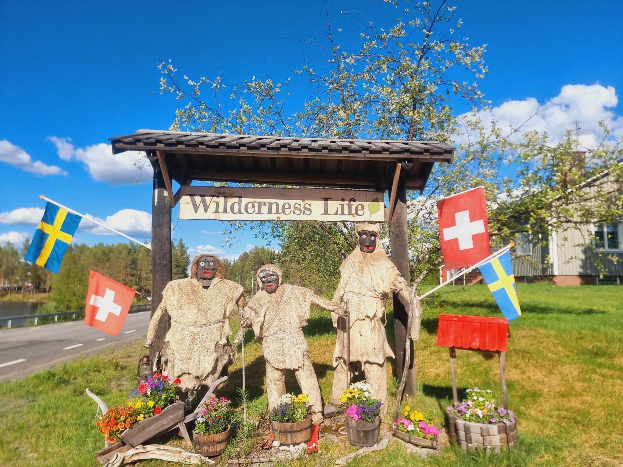 Elch Zimmer Wilderness Life Arvidsjaur Exterior photo